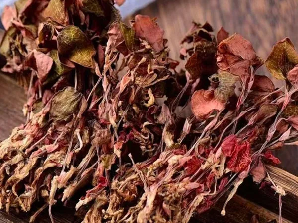 সুপার গ্রেড শুকনো Anoectochilus Roxburghii বিশেষ বাজারে আসে